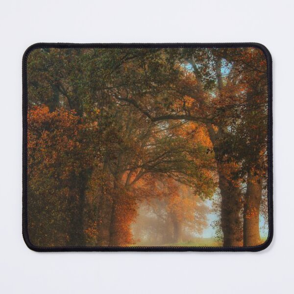 Item preview, Beautiful, Colourful and bright autumn trees designed and sold by Durgaa D.