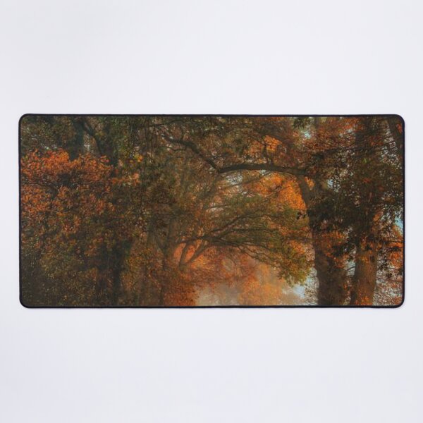 Item preview, Beautiful, Colourful and bright autumn trees designed and sold by Durgaa D.