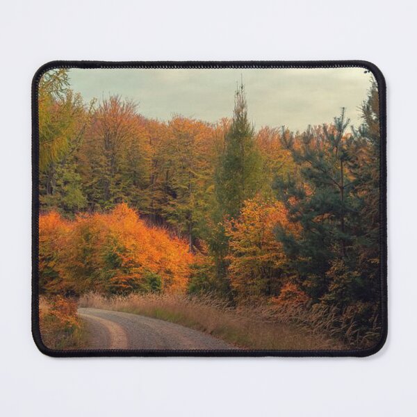 Item preview, Walking through Beautiful, Colourful and bright autumn trees designed and sold by Durgaa D.