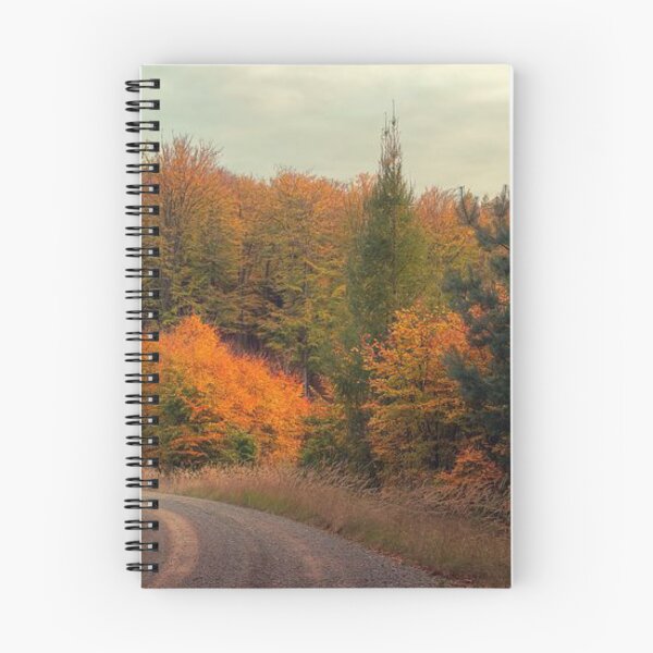 Item preview, Walking through Beautiful, Colourful and bright autumn trees designed and sold by Durgaa D.