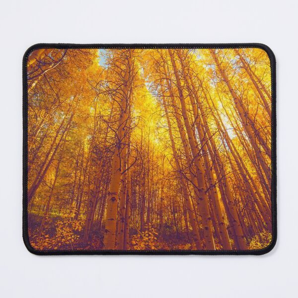 Item preview, Walking through tall Beautiful, Colourful and bright autumn trees designed and sold by Durgaa D.