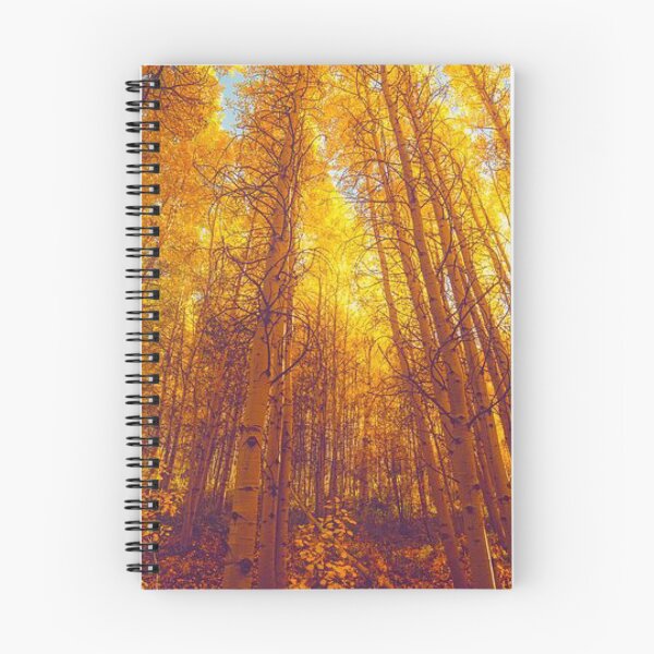 Item preview, Walking through tall Beautiful, Colourful and bright autumn trees designed and sold by Durgaa D.