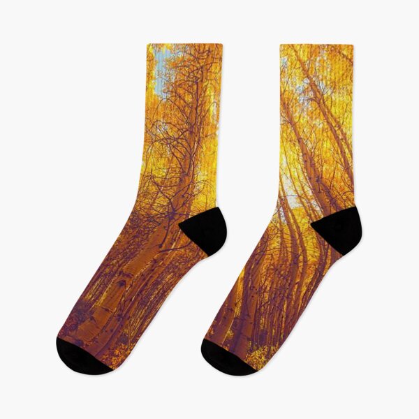 Item preview, Walking through tall Beautiful, Colourful and bright autumn trees designed and sold by Durgaa D.
