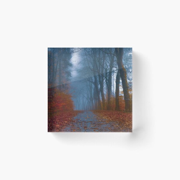 Item preview, Walking through tall Beautiful, Colourful and bright autumn trees designed and sold by Durgaa D.