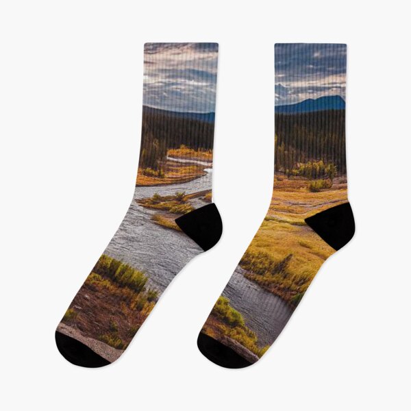 Item preview,  Colourful and bright autumn forest with river designed and sold by Durgaa D.