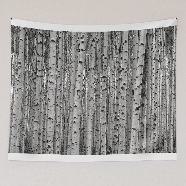 Item preview, Aspen In Black And White designed and sold by Gary Benson.