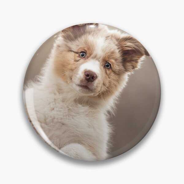 Item preview, Australian Shepherd Puppy designed and sold by Alatia.