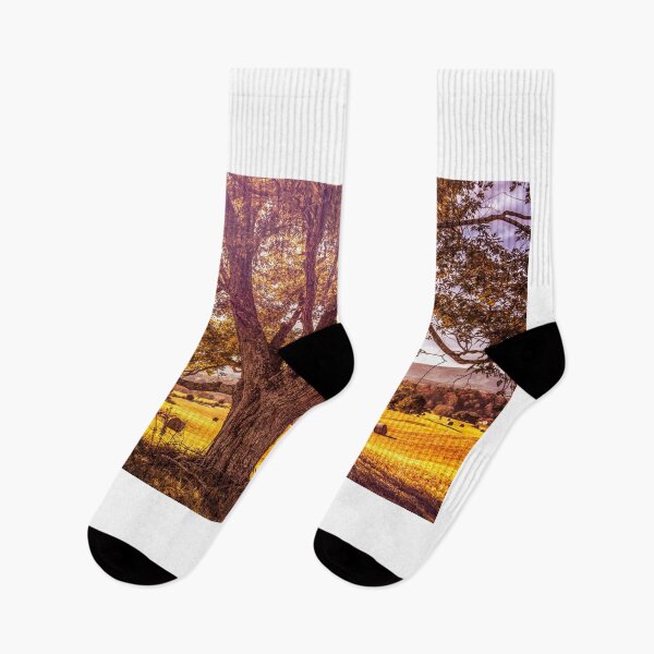 Item preview, Morning Light On The Hayfield designed and sold by Jim Love.