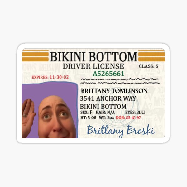 Brittany Broski Bikini Bottom License