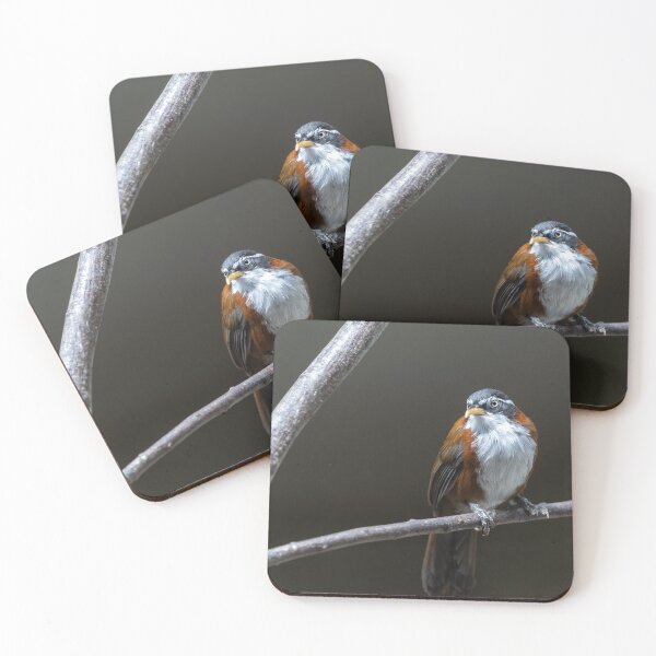 Item preview, bird on the branch designed and sold by KreativFoto.