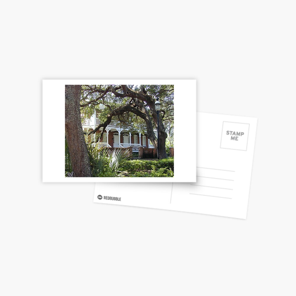 Item preview, Postcard designed and sold by xenapplib.