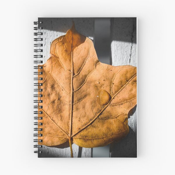 Item preview, Droplet On An Autumn Leaf designed and sold by Jim Love.