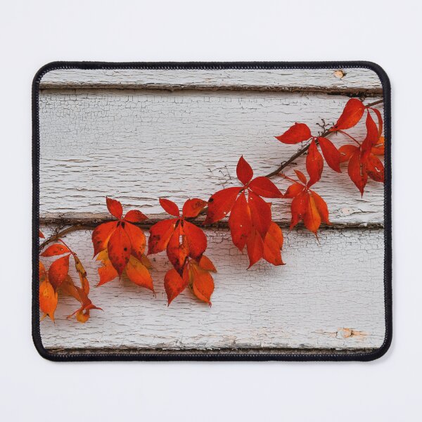 Item preview, Creeping Autumn designed and sold by Jim Love.