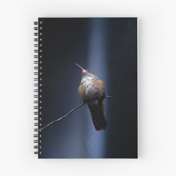 Item preview, humming-bird designed and sold by KreativFoto.