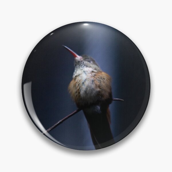 Item preview, humming-bird designed and sold by KreativFoto.