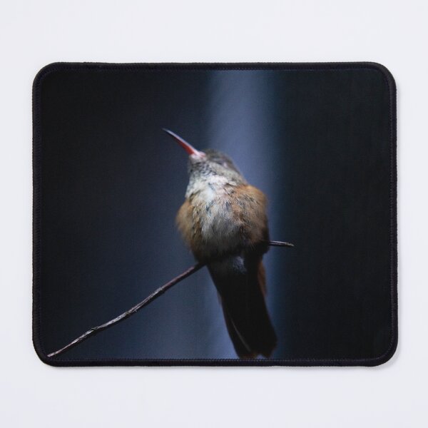 Item preview, humming-bird designed and sold by KreativFoto.