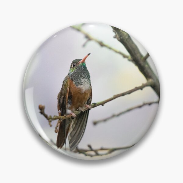 Item preview, hummingbird 2 designed and sold by KreativFoto.