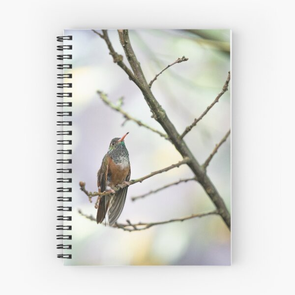 Item preview, hummingbird 2 designed and sold by KreativFoto.