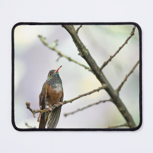Item preview, hummingbird 2 designed and sold by KreativFoto.