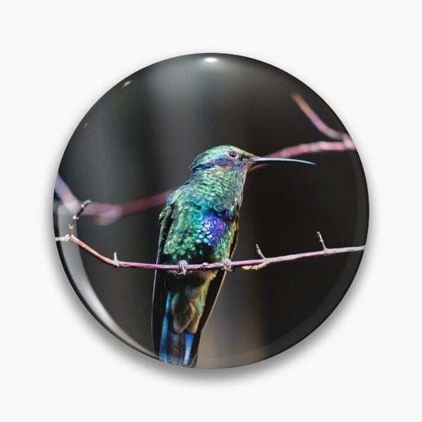 Item preview, hummingbird 3 designed and sold by KreativFoto.