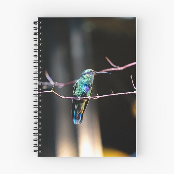 Item preview, hummingbird 3 designed and sold by KreativFoto.