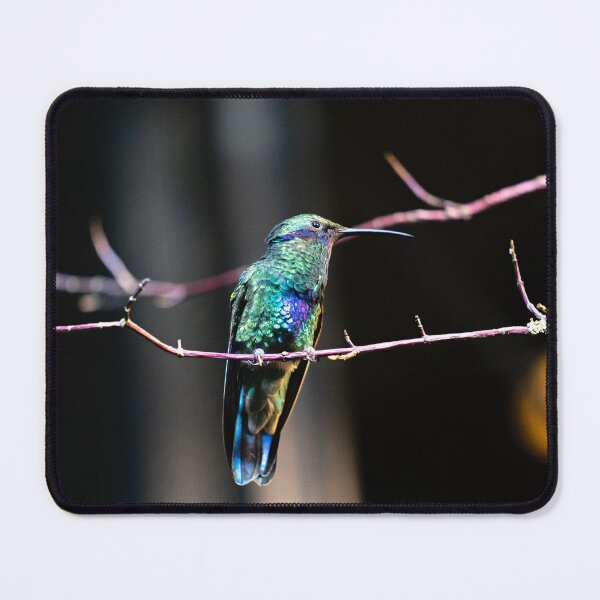 Item preview, hummingbird 3 designed and sold by KreativFoto.