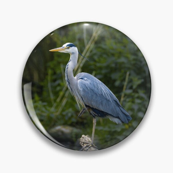 Item preview, gray heron designed and sold by KreativFoto.