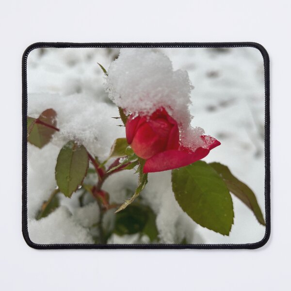 Item preview, Snow Capped Rosebud 2022 designed and sold by TherapeuticNest.