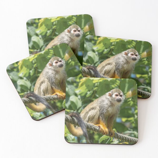 Item preview, monkey on the rope designed and sold by KreativFoto.