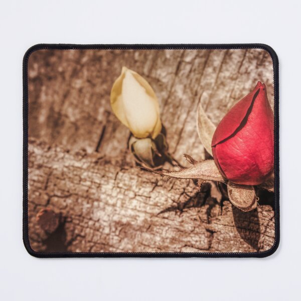 Item preview, Autumn Rosebuds designed and sold by Jim Love.