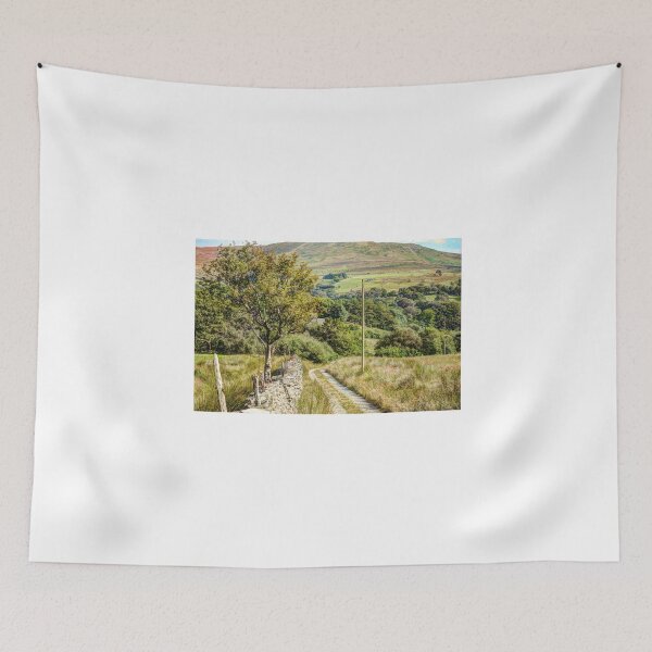 Item preview, A lane in Wales designed and sold by Anthony Hedger Photography.
