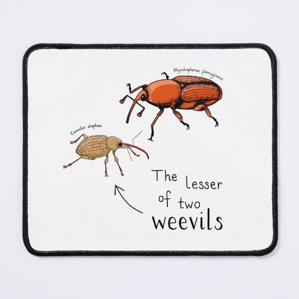 Item preview, The lesser of two weevils designed and sold by bionerdjokes.
