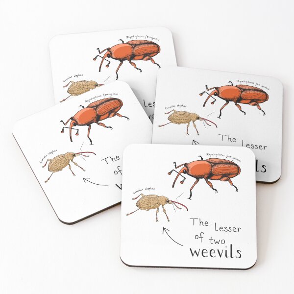 Item preview, The lesser of two weevils designed and sold by bionerdjokes.