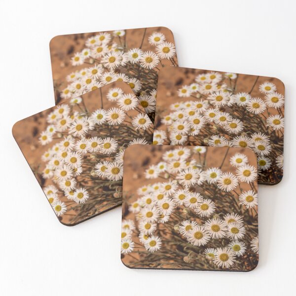 Item preview, Tidy Fleabane designed and sold by Daniel's Destinations.