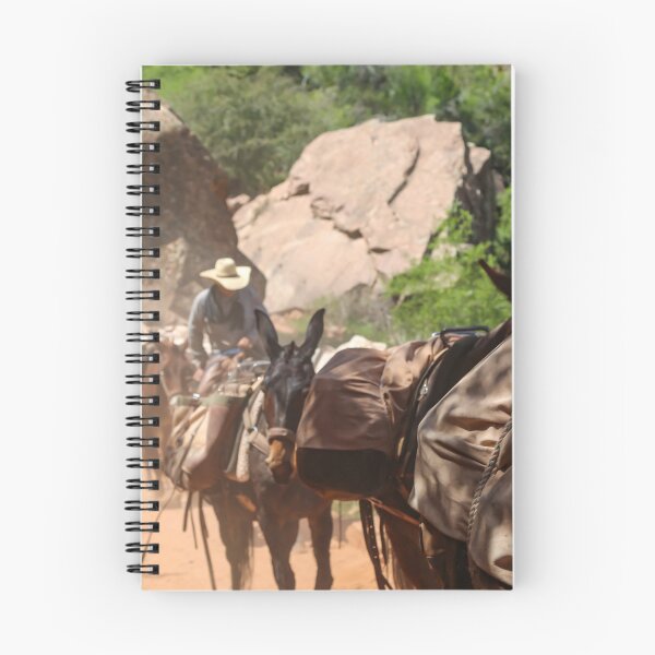 Item preview, Supple Run designed and sold by Daniel's Destinations.
