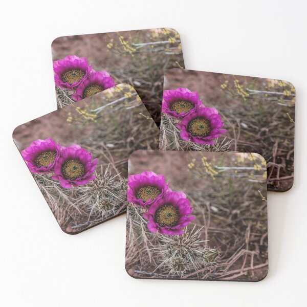 Item preview, Conditional Beauty designed and sold by Daniel's Destinations.