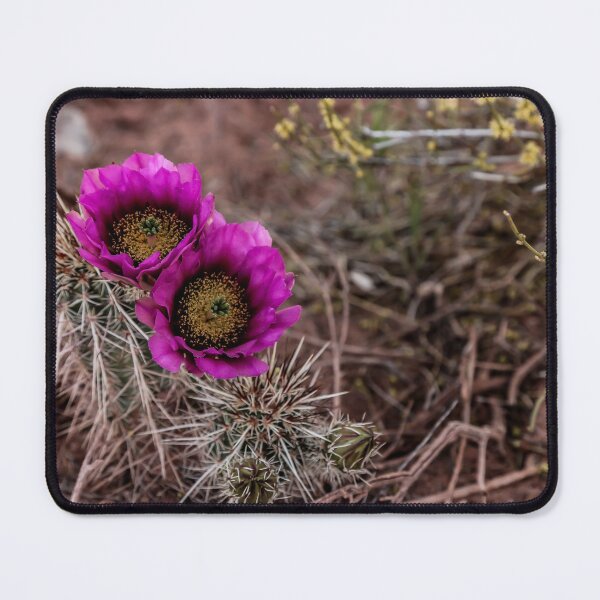 Item preview, Conditional Beauty designed and sold by Daniel's Destinations.
