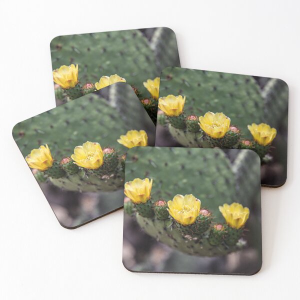 Item preview, Cactus de Teotihuacan designed and sold by Daniel's Destinations.