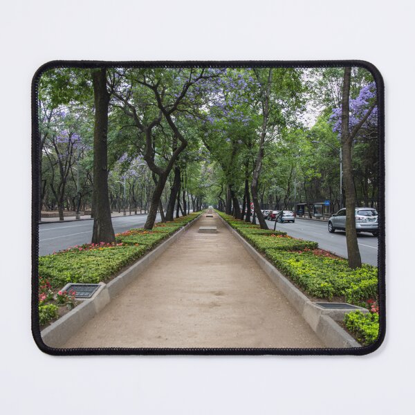 Item preview, Streets of Mexico designed and sold by Daniel's Destinations.