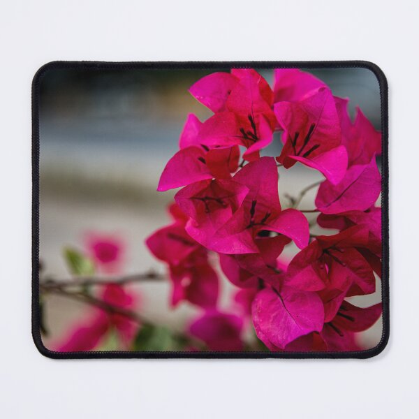 Item preview, Street Flowers designed and sold by Daniel's Destinations.