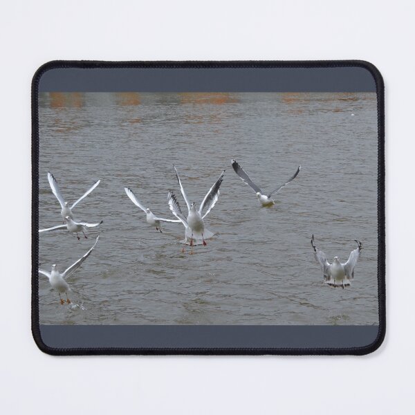 Item preview, Seagulls Taking Off designed and sold by thelemmingface.