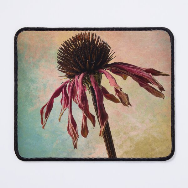 Item preview, Wilted Textured Cone Flower designed and sold by Garry Gay.