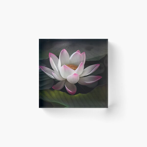 Item preview, Jacobean Floral  designed and sold by PhotoCreationXP.