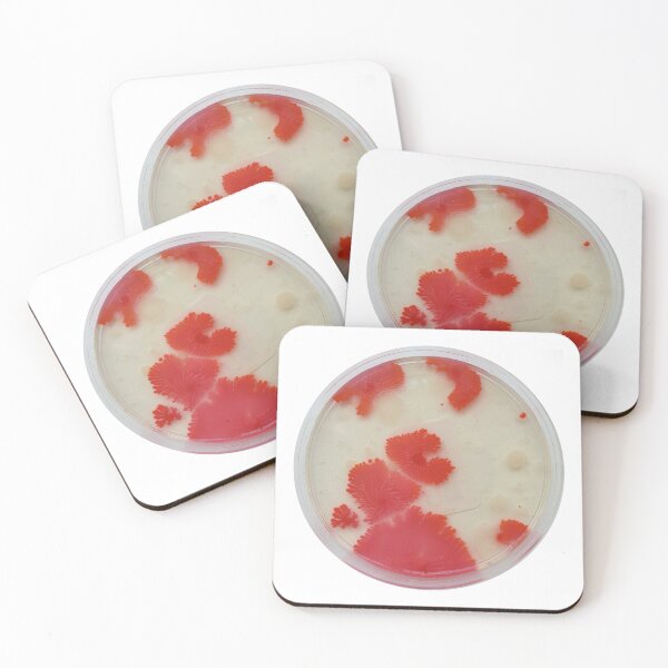 Item preview, Red bacteria on PC agar plate designed and sold by Fromthelab.