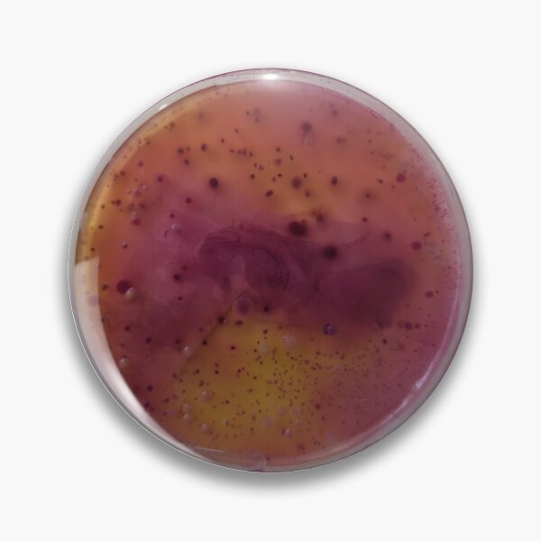 Item preview, Atypical Violet Red Glucose Bila Agar plate designed and sold by Fromthelab.