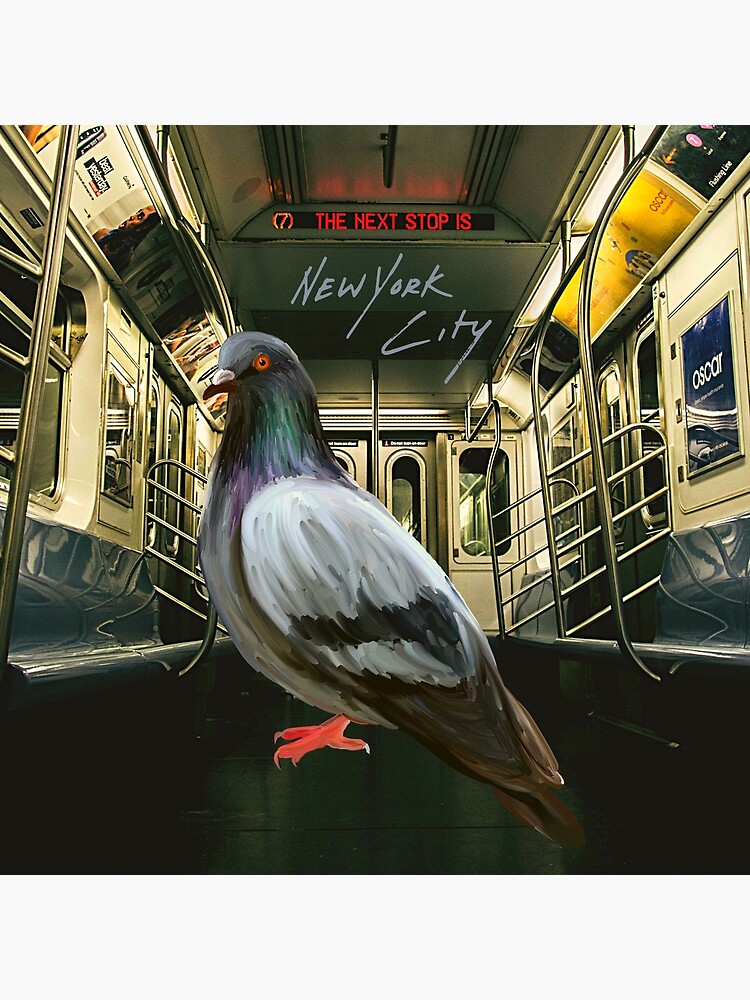 NYC Pigeon - New York City Pigeon - New York Birds - New