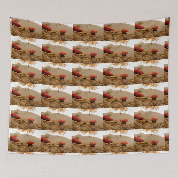 Item preview, Sea Anemones, Boat Harbour, Tasmania, Australia. designed and sold by kaysharp.