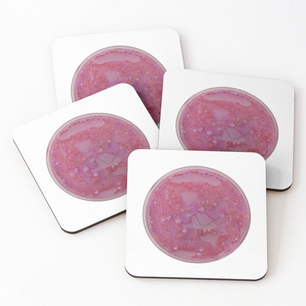 Item preview, DRBCA growing lots of yeasts designed and sold by Fromthelab.