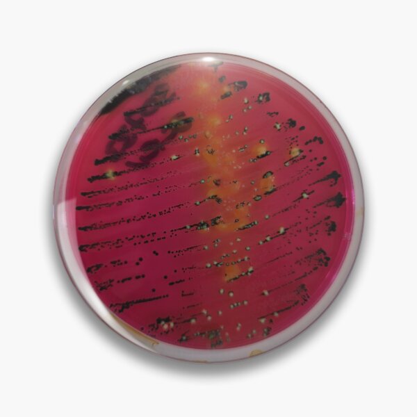Item preview, Salmonella streak on XLD designed and sold by Fromthelab.