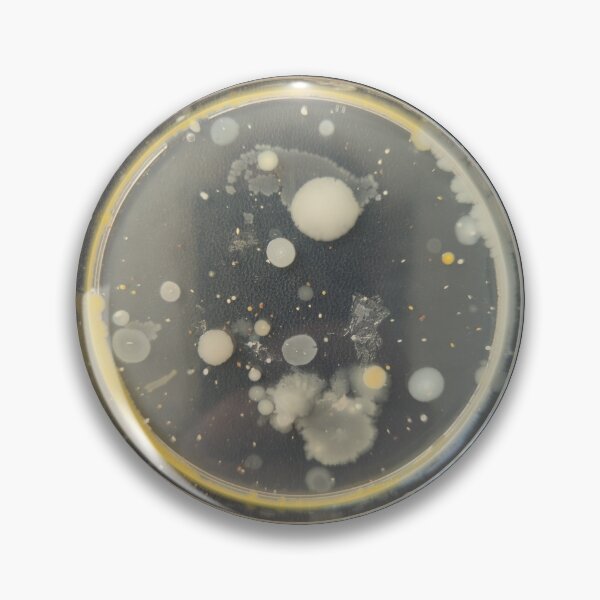 Item preview, White and Yellow bacteria on PC agar plate designed and sold by Fromthelab.